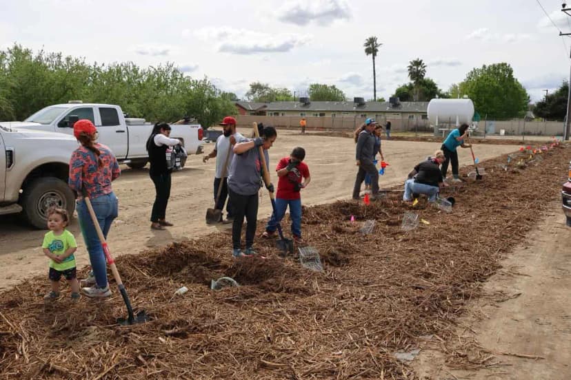 Native plant restoration along a waterway