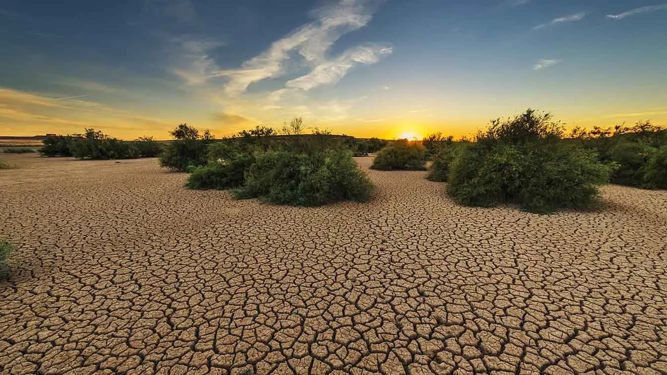 Dry cracked earth showing the effects of drought in Madera County